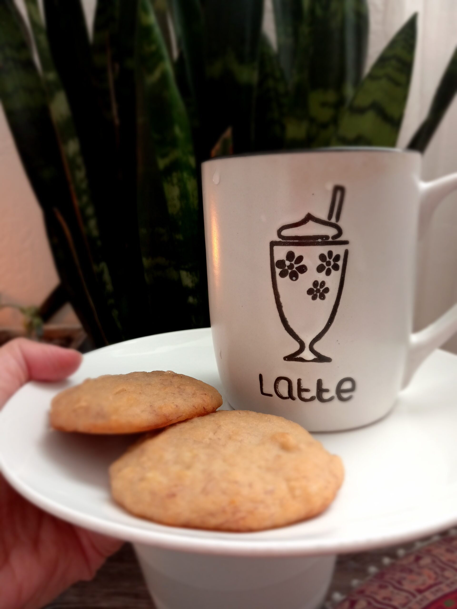 galletas de arroz